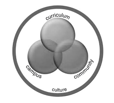 Graph showing three overlapping circles labeled "Curriculum," "Campus," "Community." A larger circle encircles the graohic and is labelled "culture."