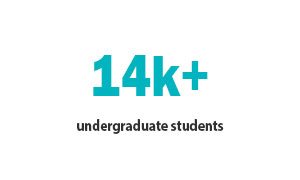 14k+ undergraduate students