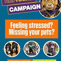 Feeling stressed? Missing your pets? Drinking alcohol isn't the best way to alleviate the pressure and stress associated with college life.