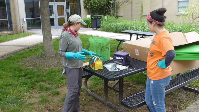 Kendra McMillin with former Summer Intern, Natalie Naylon, changing an EAB 'sticky trap'.
