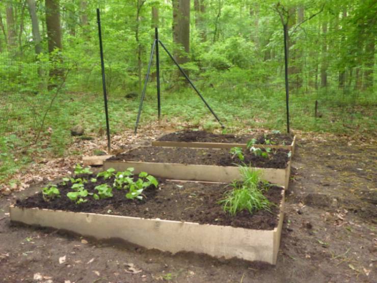 Three raised beds at the GNA Native Plant Nursery