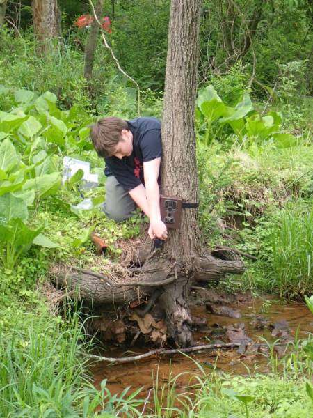 GNA student intern Kinsey Cuoco changing the SD Card in one of the wildlife cameras while avoiding Poison Ivy