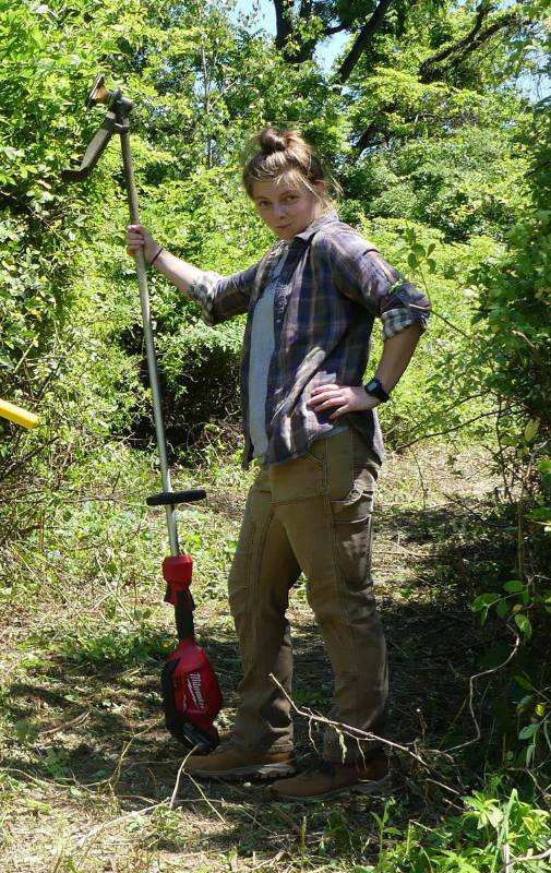 Maddison Rettenmaier and the beloved Milwaukee String Trimmer cutting a path through a Multiflora Rose stand