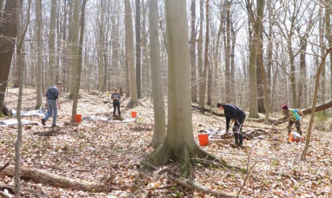 Volunteers and GNA interns planting trees (Earth Day 2018)