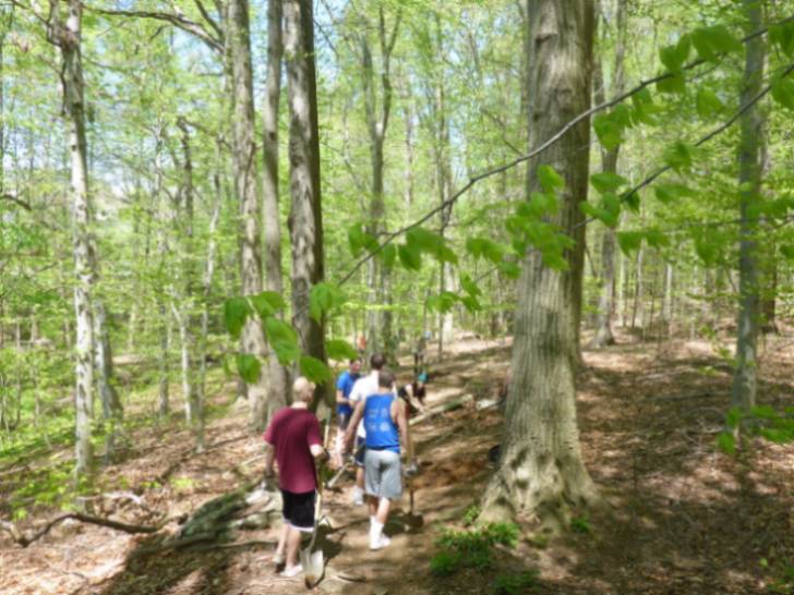 Students planting trees along a 'decomisioned' trail.