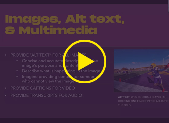 Images, alt text, and multimedia