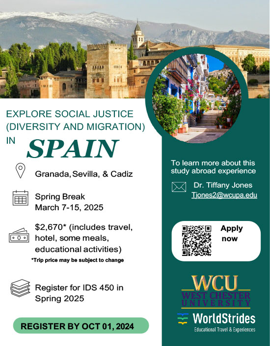 Social Justice in Spain pdf sample